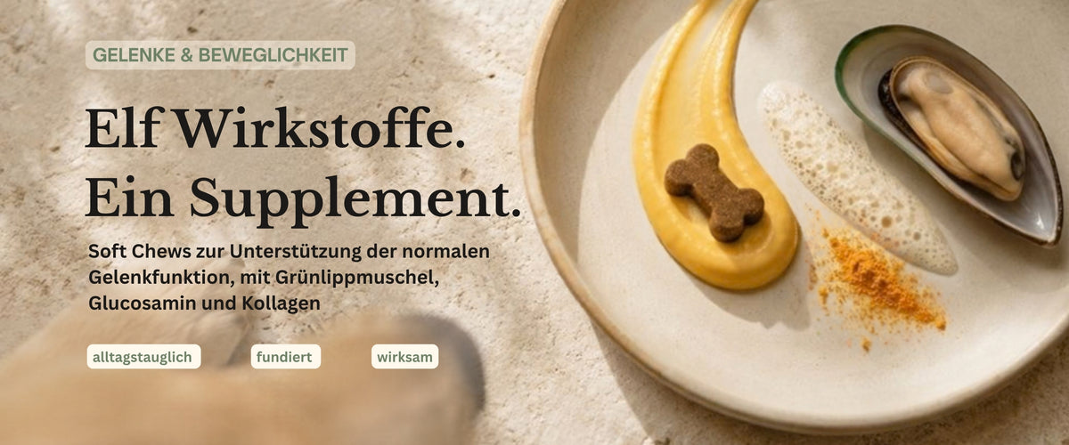 Elf Wirkstoffe. Ein Supplement. Soft Chews zur Unterstützung der Gelenke und Beweglichkeit deines Hundes. Mit Grünlippmuschel, Glucosamin und Kollagen