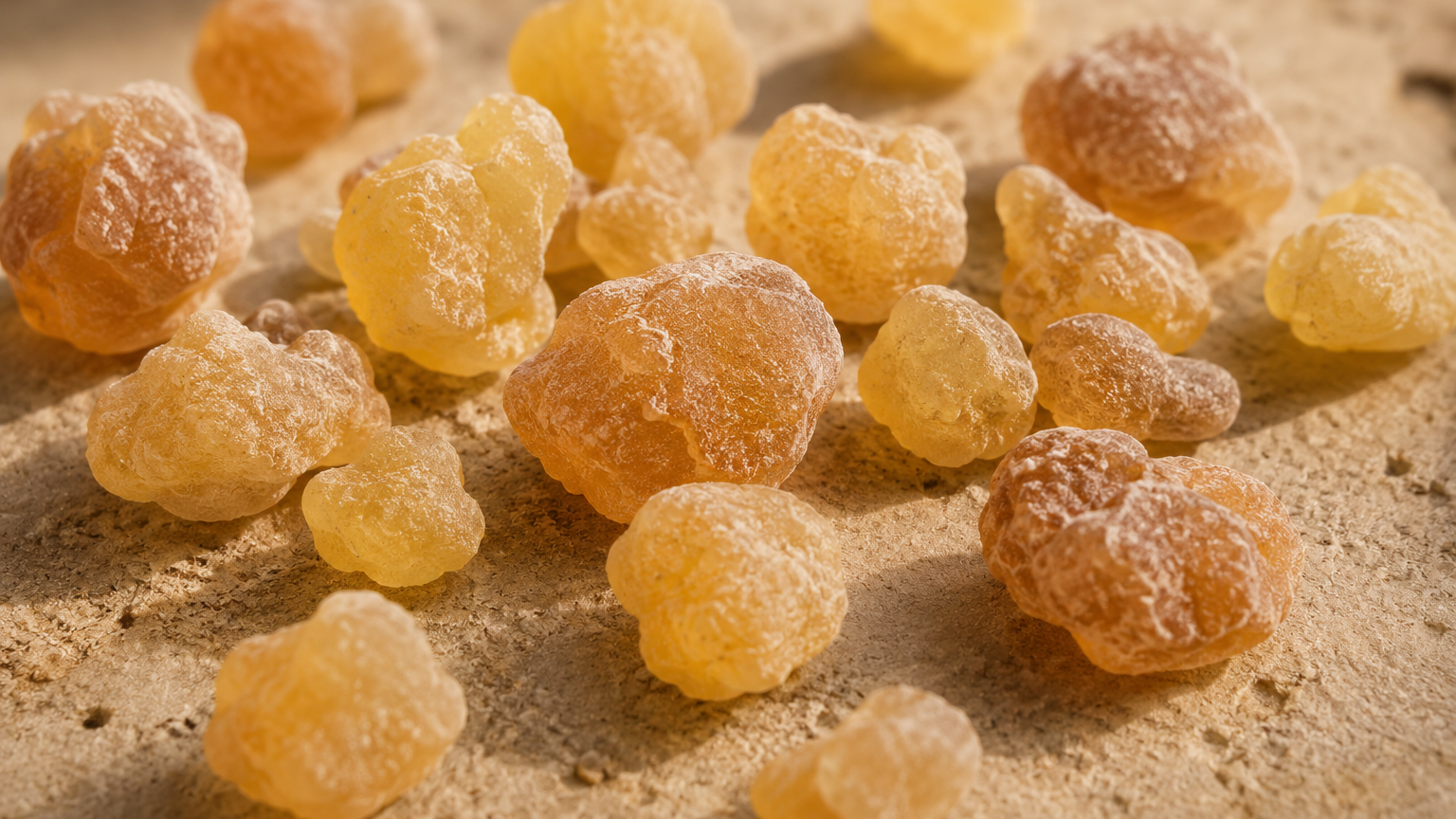 Boswellia-serrata-Extrakt, indischer Weihrauch als traditioneller Pflanzenwirkstoff