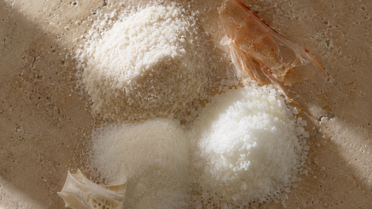 Gelenk-Basis-Komplex aus Glucosamin, Chondroitinsulfat und MSM