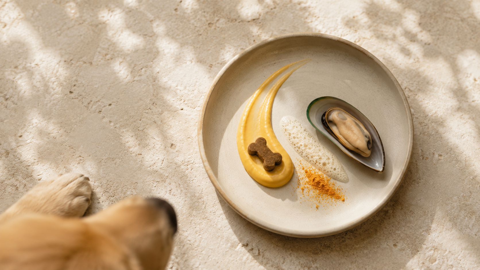 Maison Wau Soft Chew edel angerichtet mit Püree, Schaum und Grünlippmuschel, Hundepfote unscharf am Bildrand
